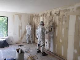 Why You Should Choose Our Mold Remediation Services in Leesburg, OH